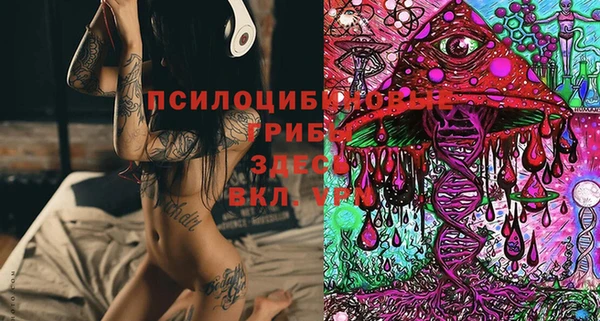 mdpv Верея