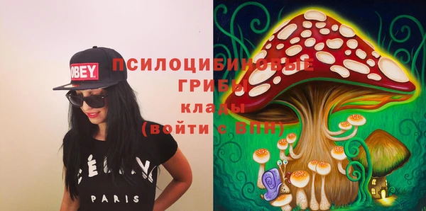 mdpv Верея